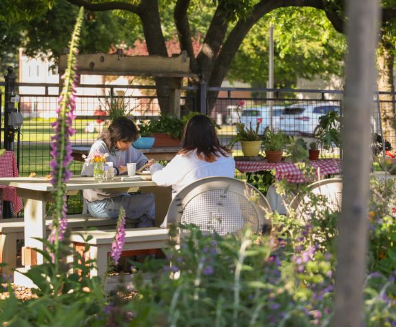 students eating in the garden