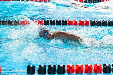 Pacific swimmer