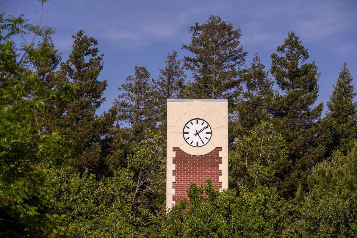 clock tower framed by trees