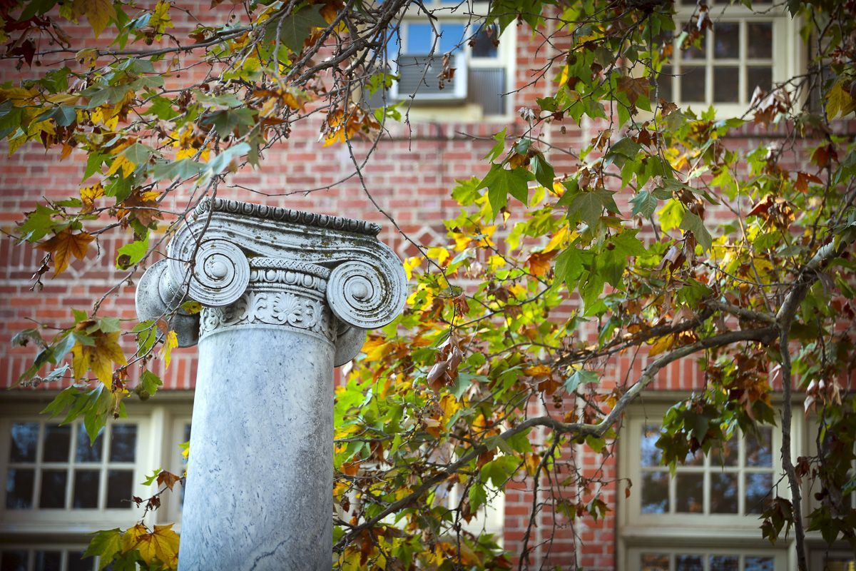 Column in fall 