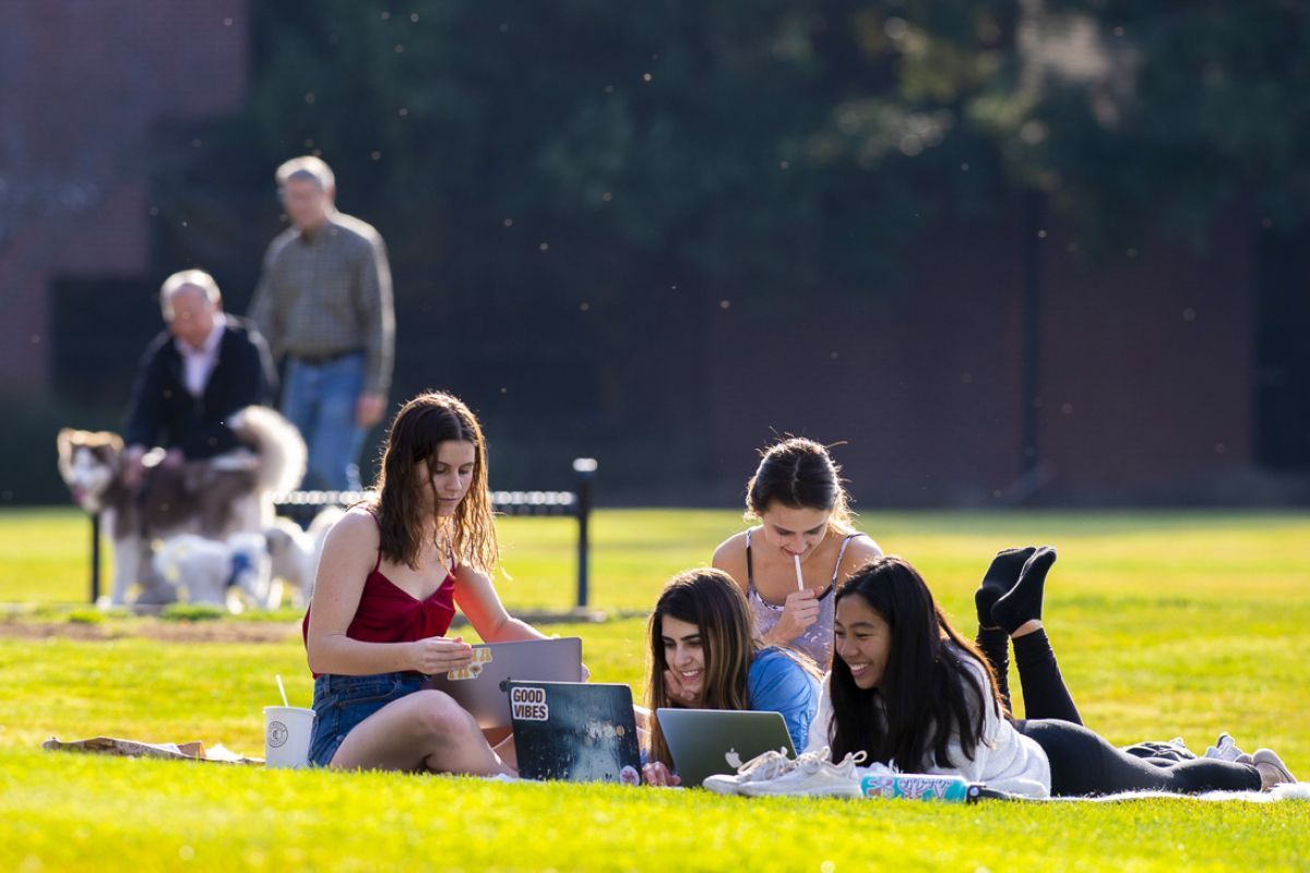 Students on the lawn