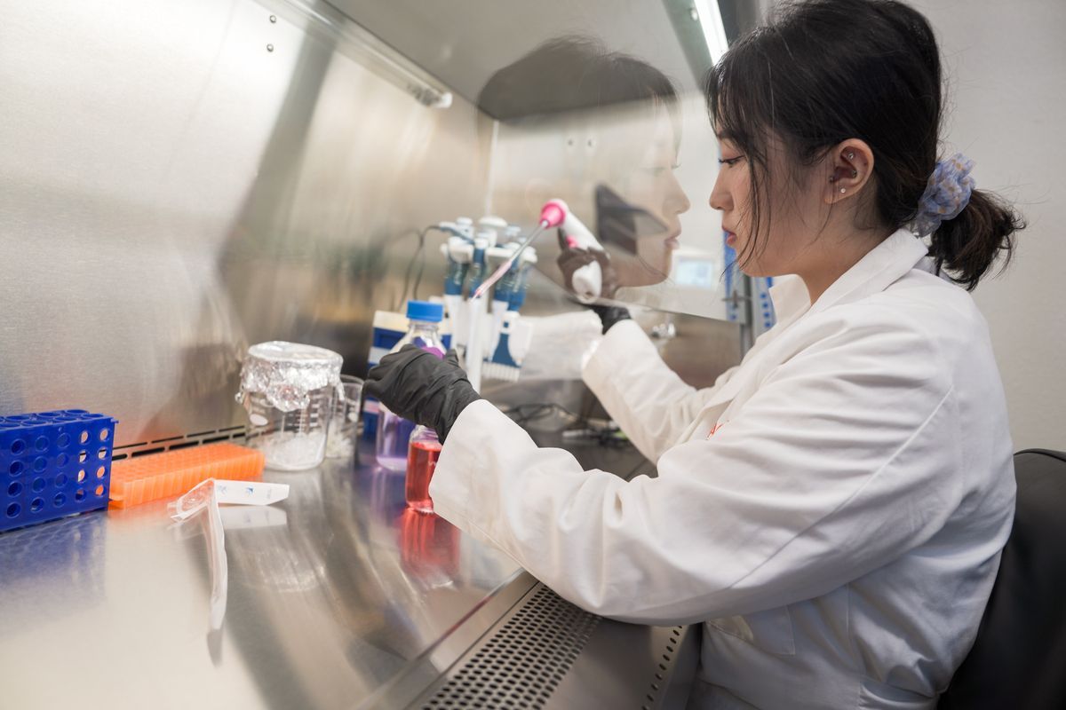 a student running an experiment during the Curing Cancer program