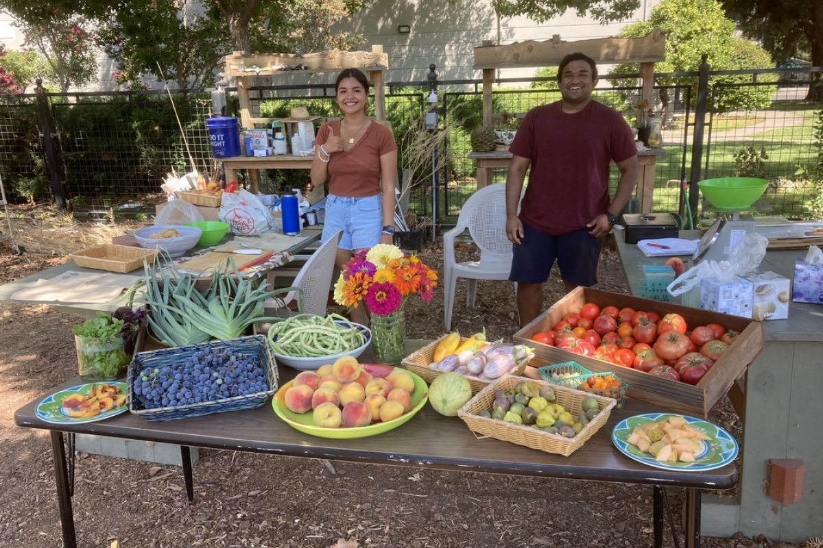 Garden market 2022