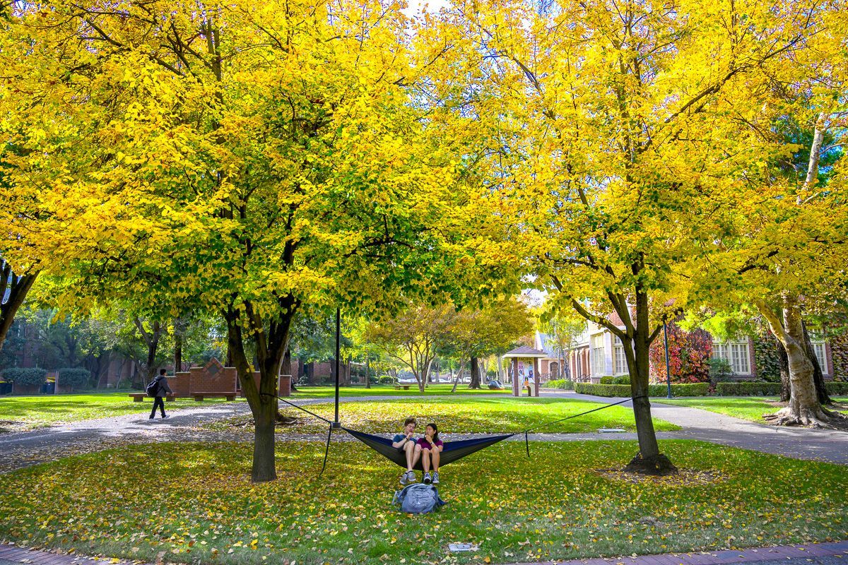 students sit on a hammock