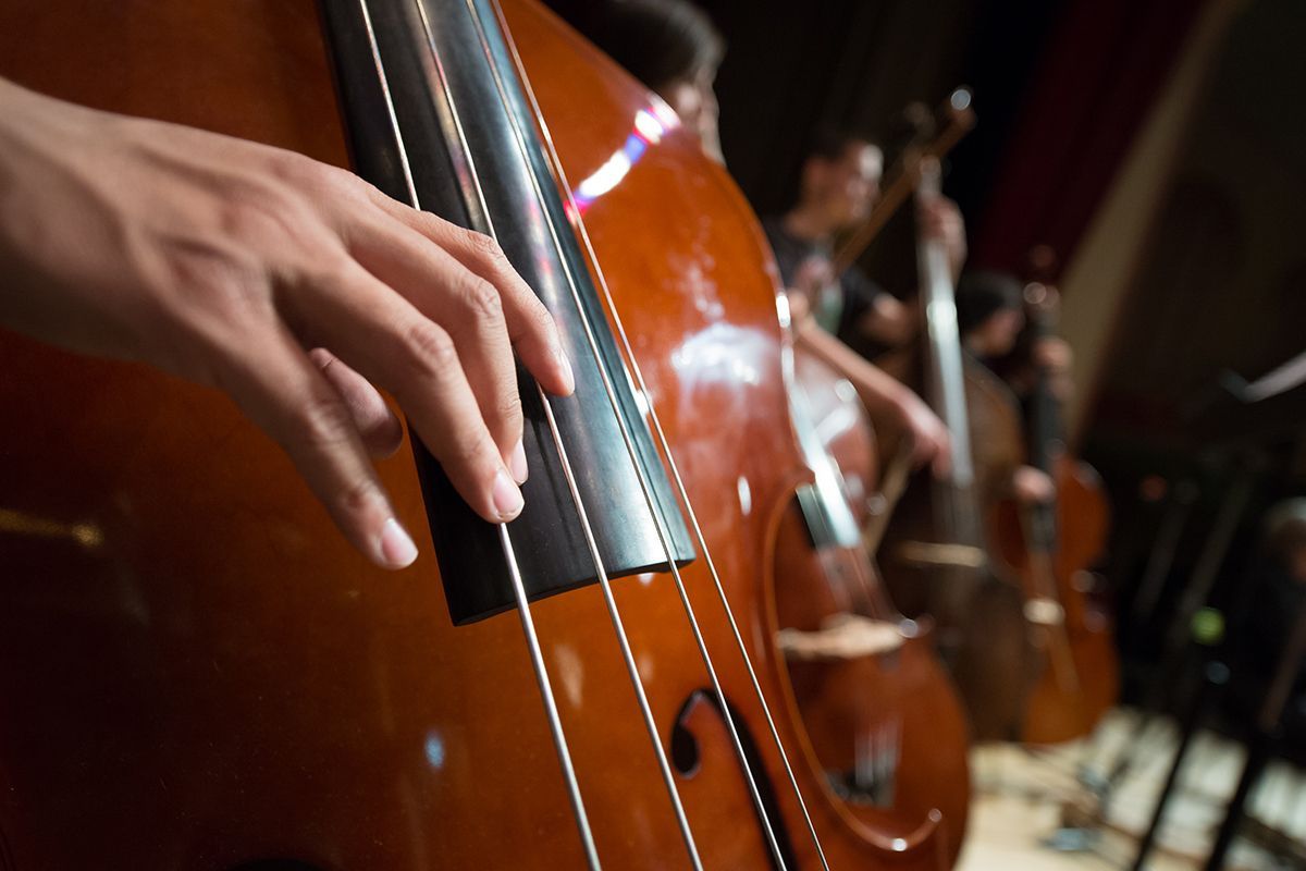 String bass