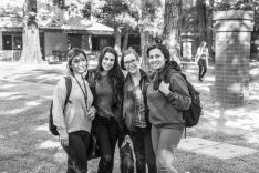 content.field_image.alt