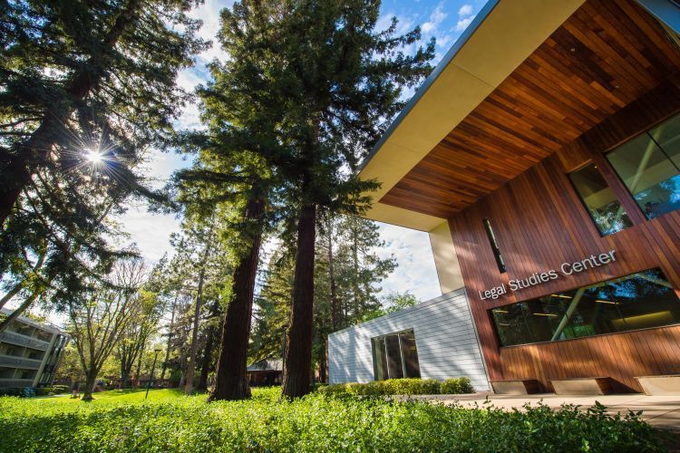 The sun shining through the trees next to the library at McGeorge School of Law.
