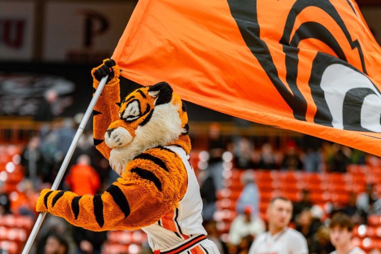 Powercat holds a flag with the Tigers mascot
