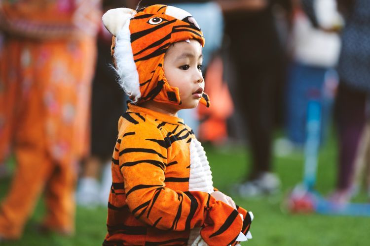 child in tiger costume