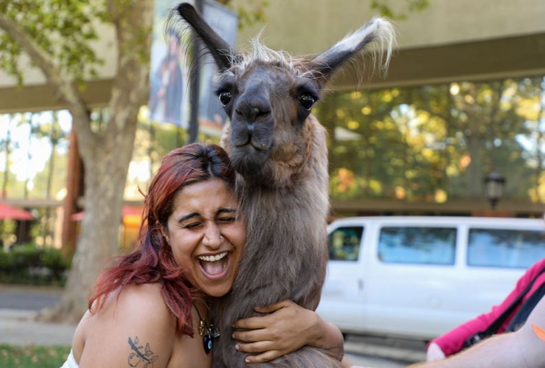 A women hugs a llama. 