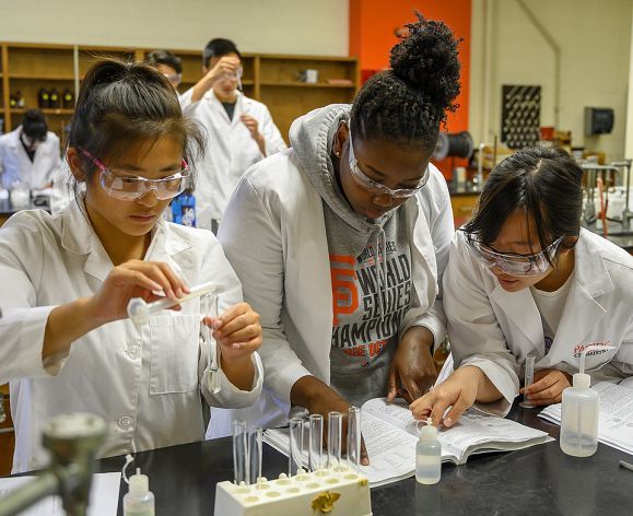 students working on chemicals