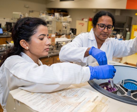 Pharmacy research labs