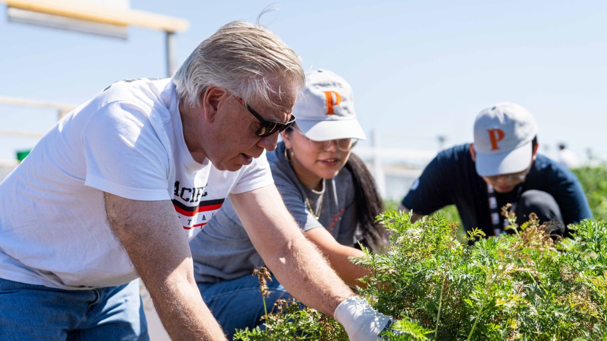 president at day of service